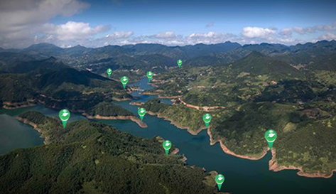 服務流程可視化